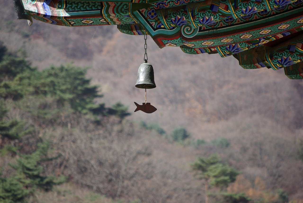 선생님 공지 이미지