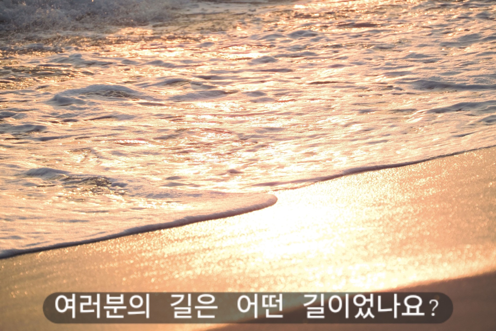 선생님 공지 이미지