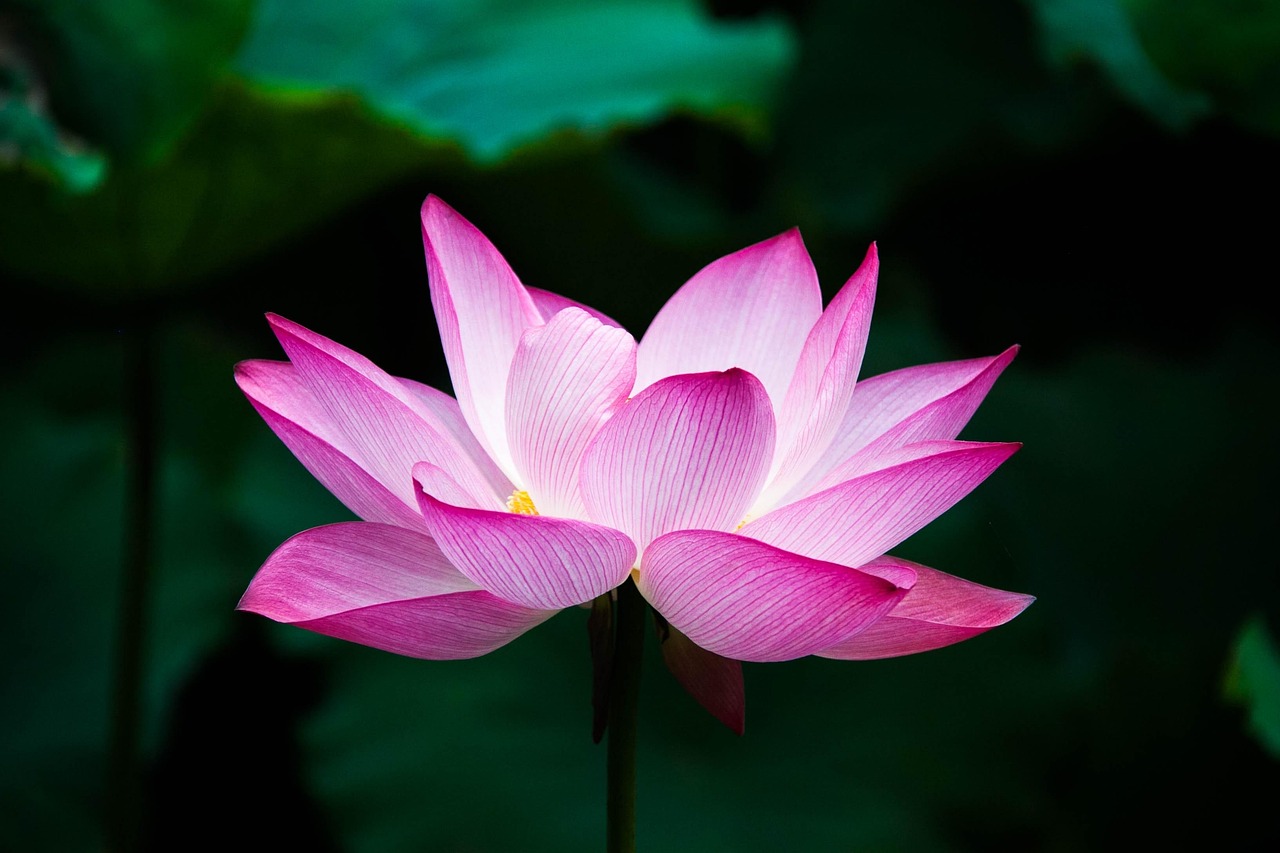 선생님 공지 이미지