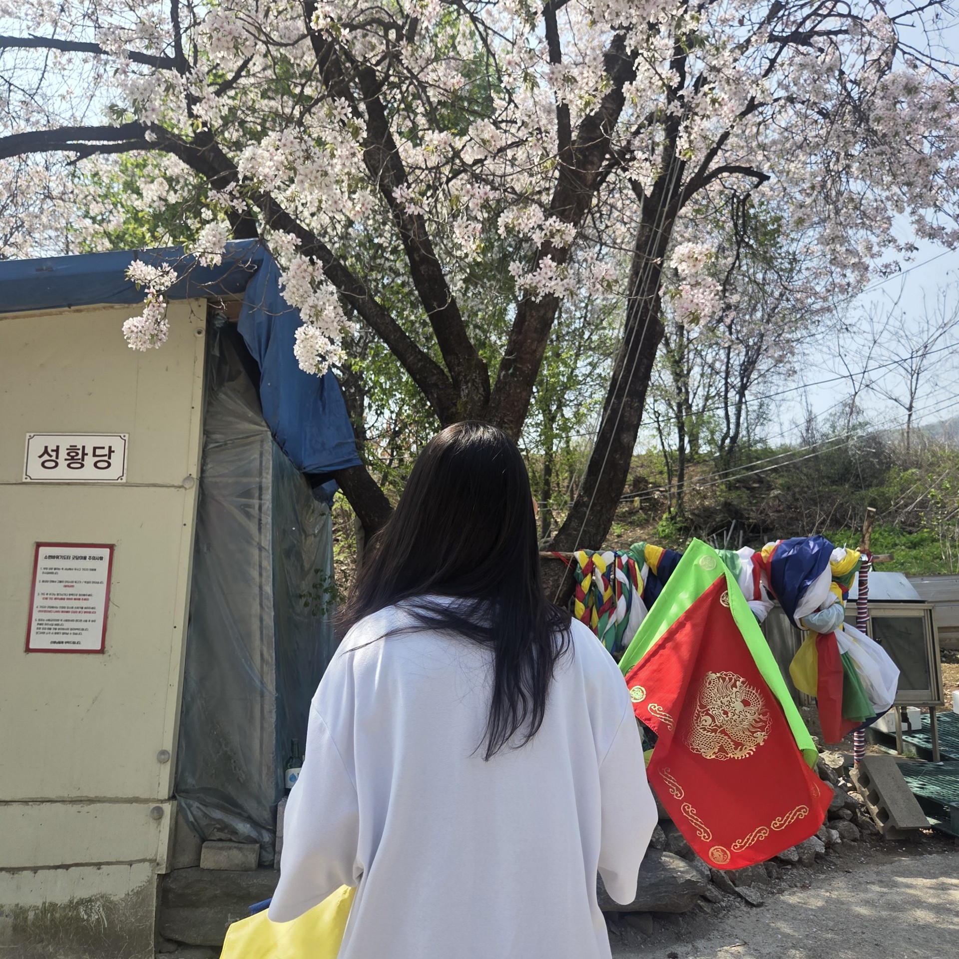 선생님 자기소개 이미지 4