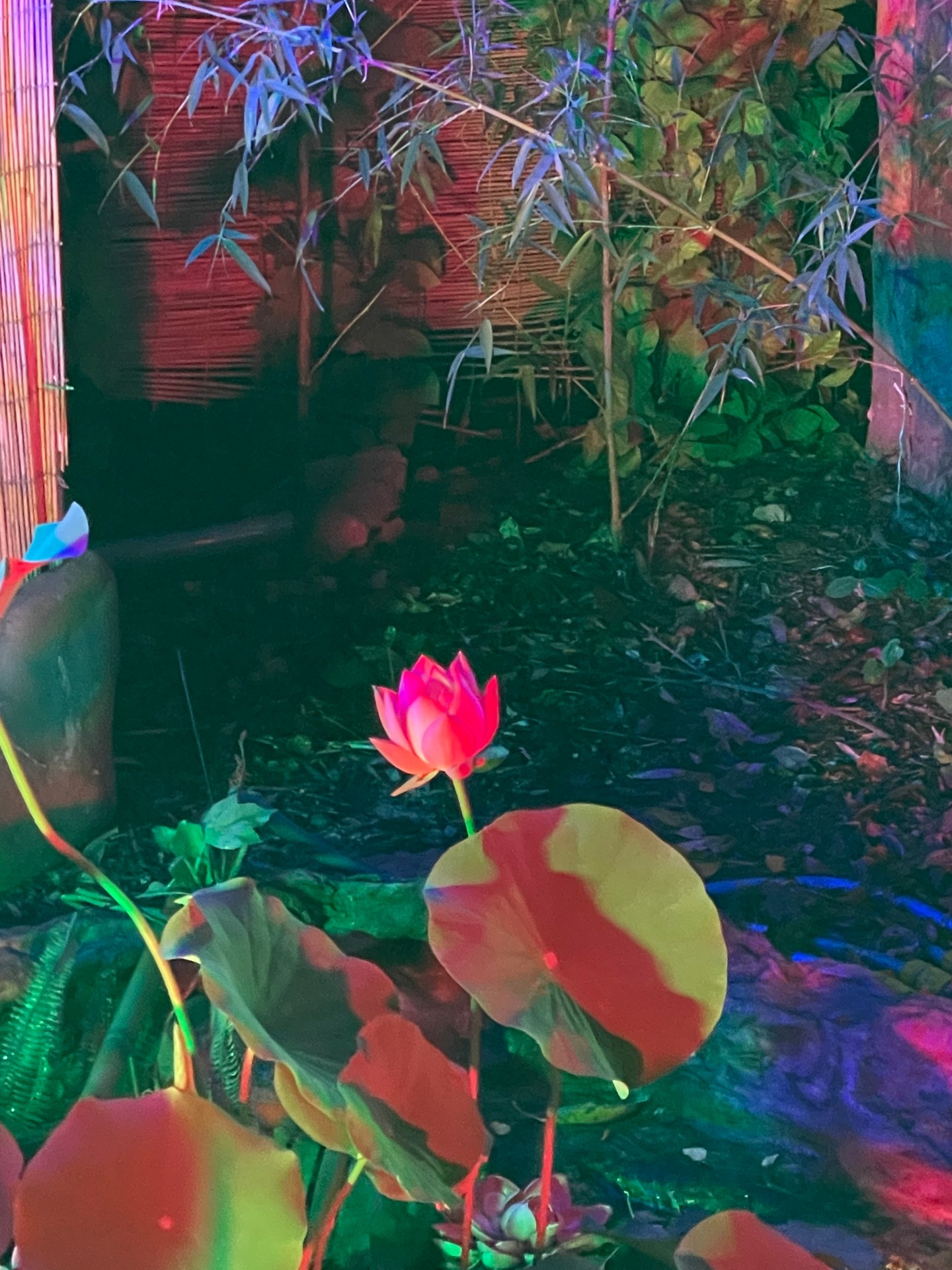 선생님 자기소개 이미지 4