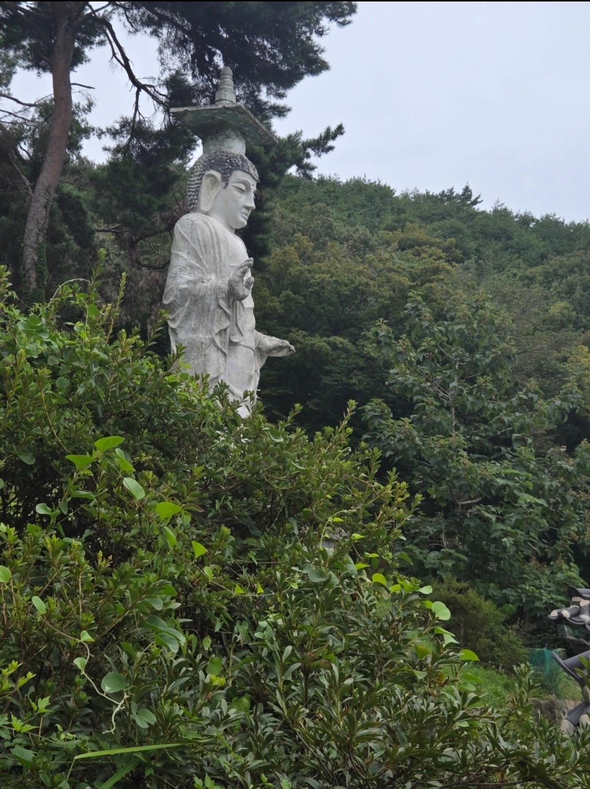 선생님 자기소개 이미지 1